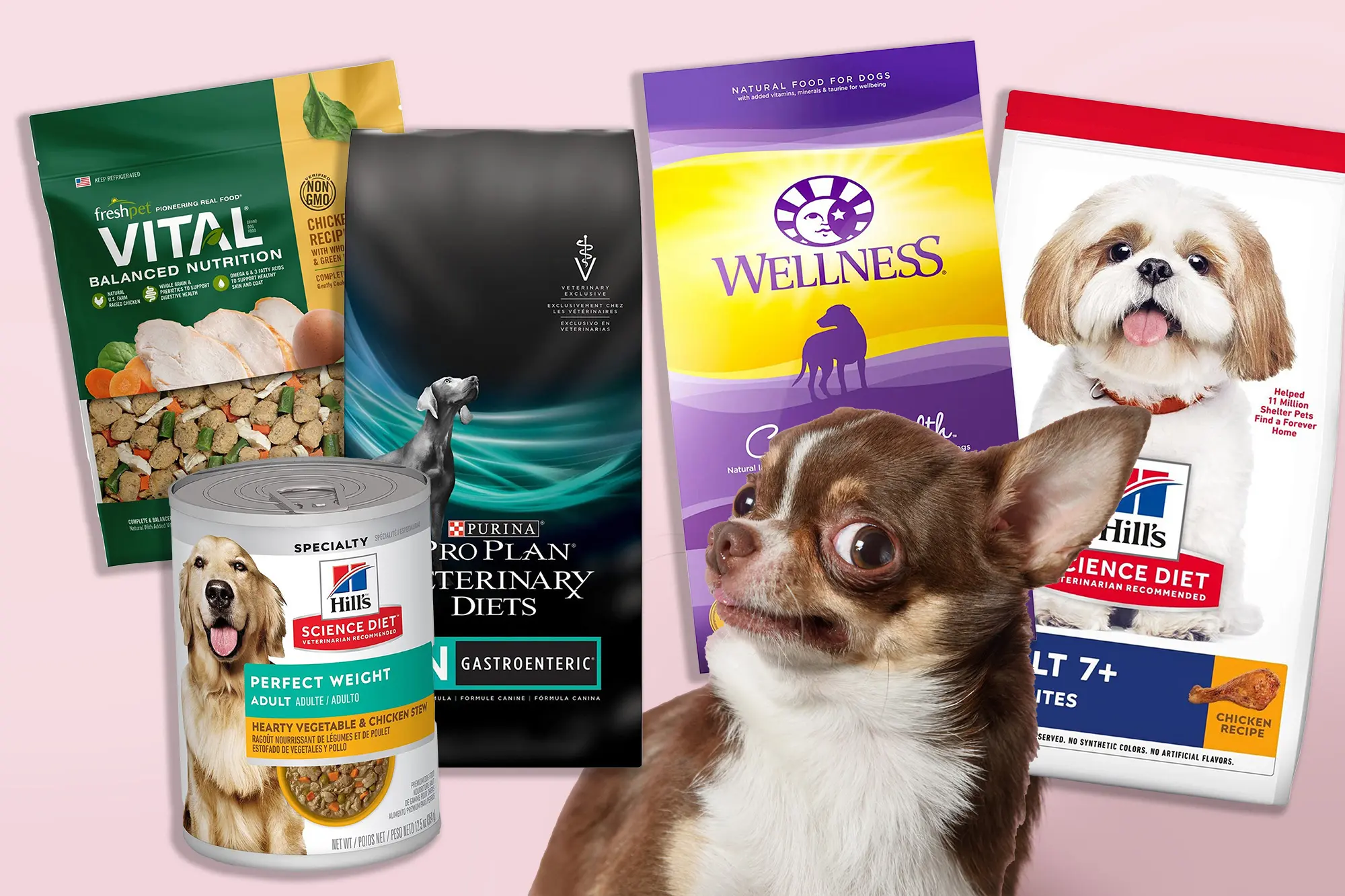 Best Dog Food Brands in 2026: Top Options at PetSmart