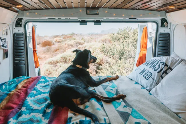 Ultimate Dog Road Trip Packing List: Everything You Need for a Safe and Comfortable Journey
