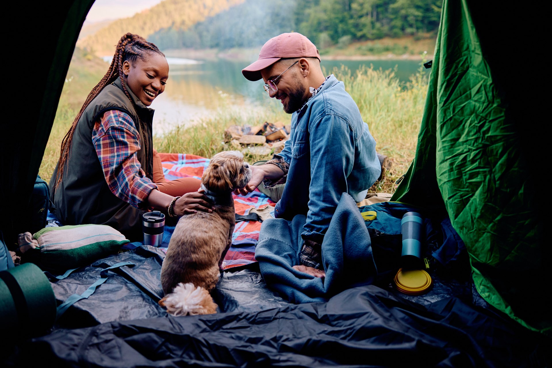 Camping With Your Dog: Essential Gear Guide for Outdoor Adventures
